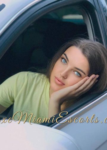 Gorgeous brunette with blue eyes sitting on a driver’s seat in a car